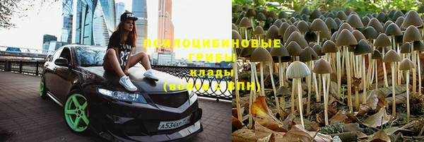 spice Балабаново