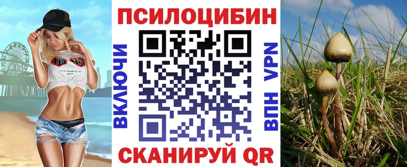 Псилоцибиновые грибы Psilocybine cubensis купить сайты Лебедянь